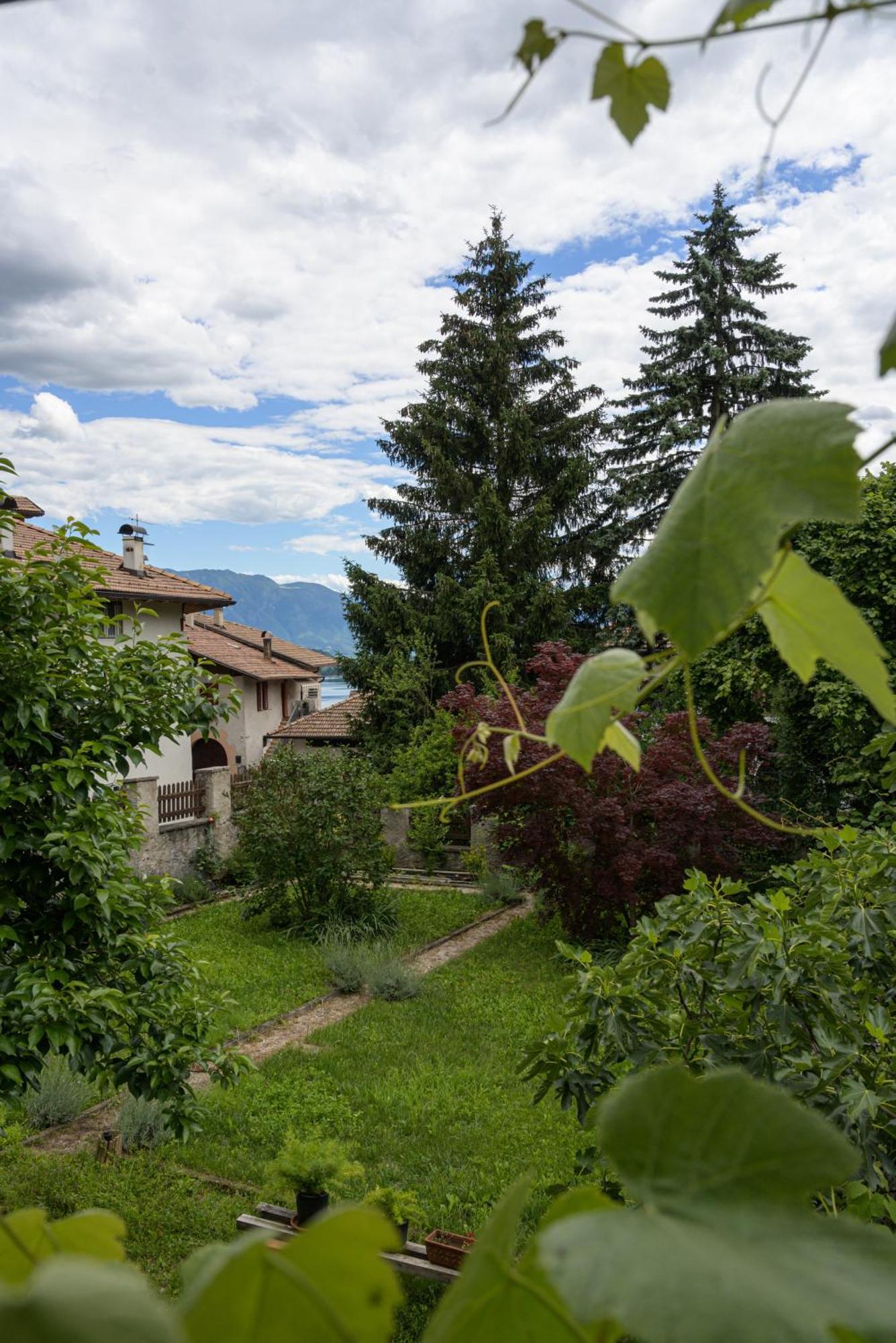 Villa Casa Bolego à Cagno  Extérieur photo